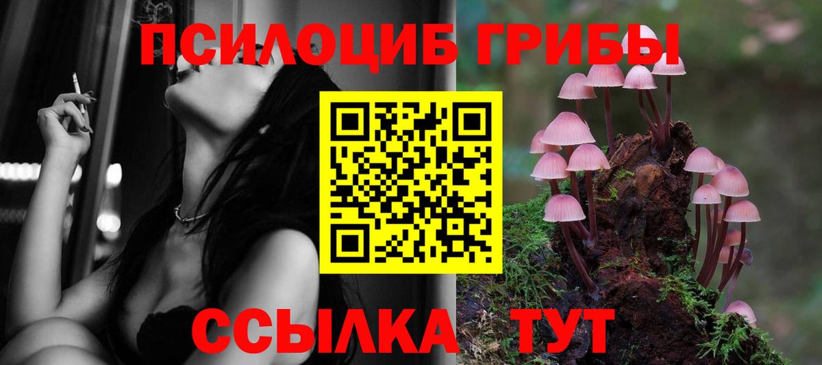 Псилоцибиновые грибы прущие грибы  где продают наркотики  Лангепас  Вход с VPN 